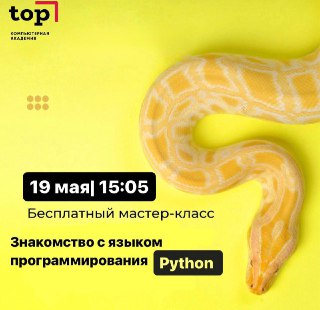 -19-мая-пройдёт-бесплатный-пробный-урок-«python-для-взрослых»-в-Компьютерной-Ака…